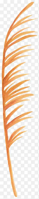 ��ֲ��ˮ���ֻ�ֲ��-������