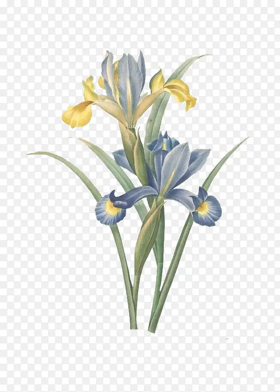 �ֻ滨��-������