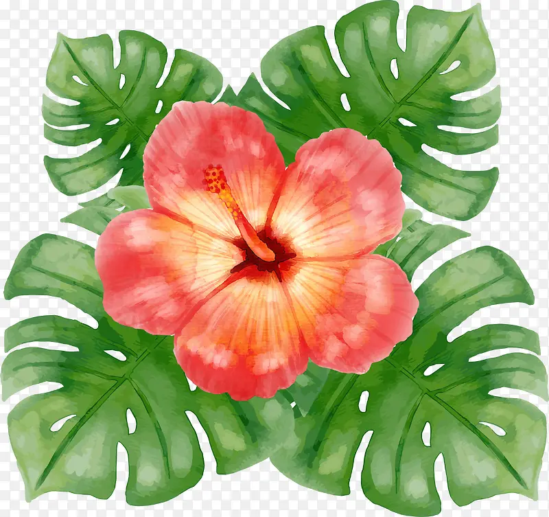 ��ɫˮ�ʻ���-������