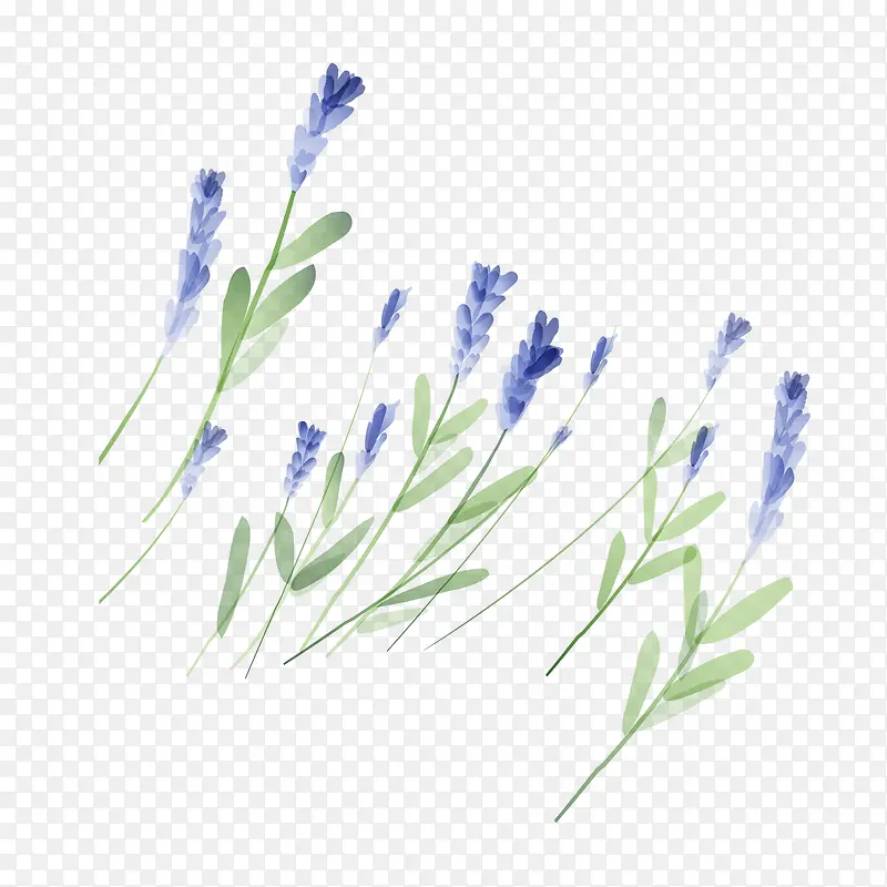 ˮ��ֲ��-������