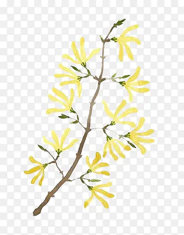 ˮ�ʻ�ɫС������ͼ��-������