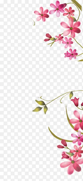 С���߿�-������