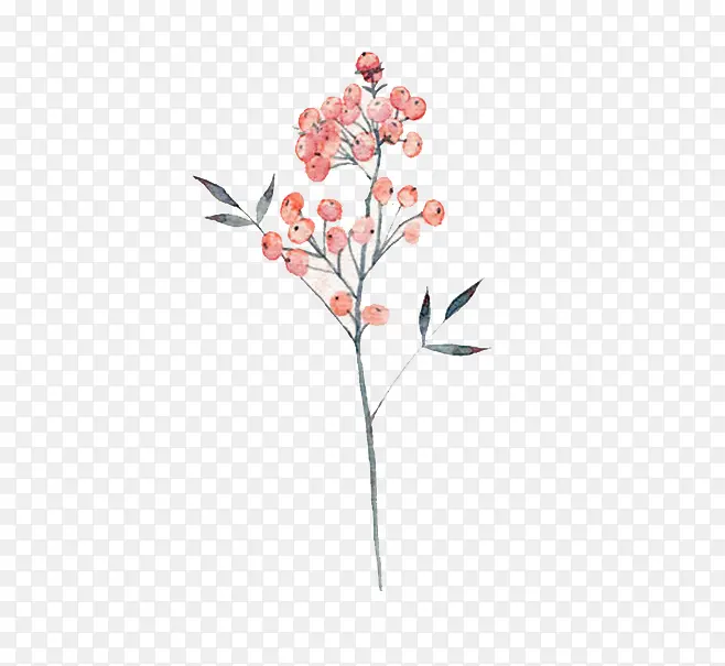 ˮ��С��-������