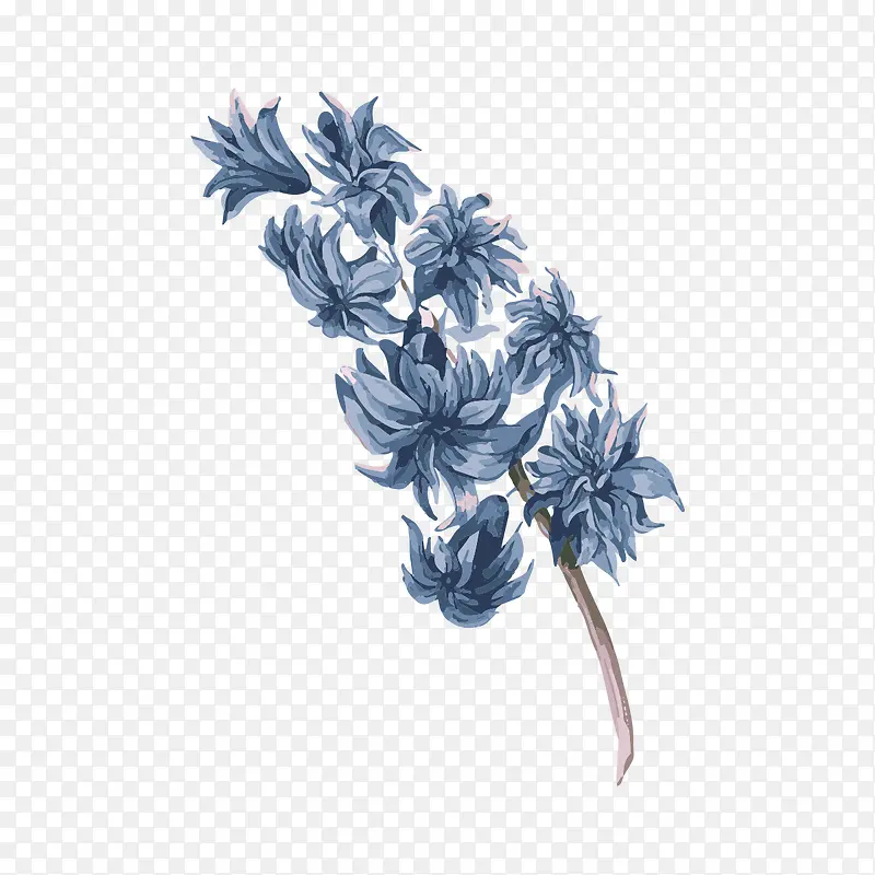 С����ˮ��ֲ�ﻨ��廭-������