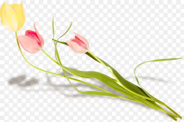 С����ˮ�ʻ���ͼ��-������