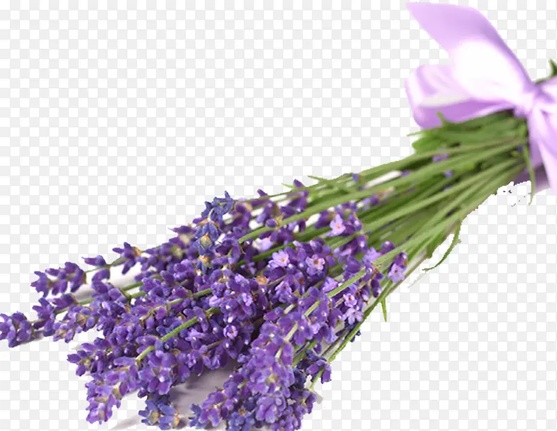 һ��޹�²�-������