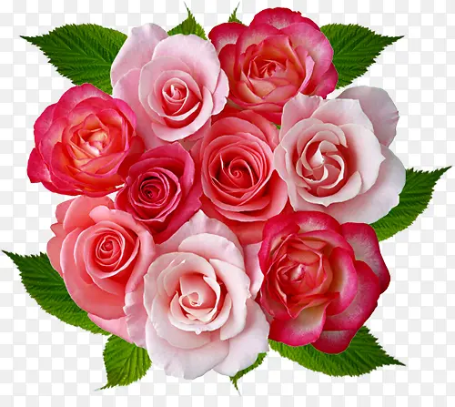 һ������õ�廨-������