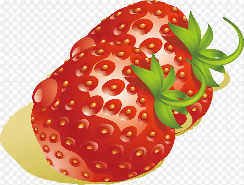 ��ݮװ��ʸ�����-������