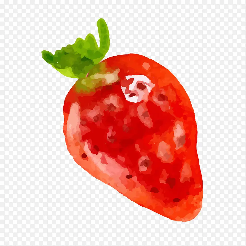 ˮ��ʸ����ݮ-������