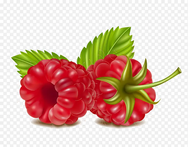 Ұ��ݮ-������