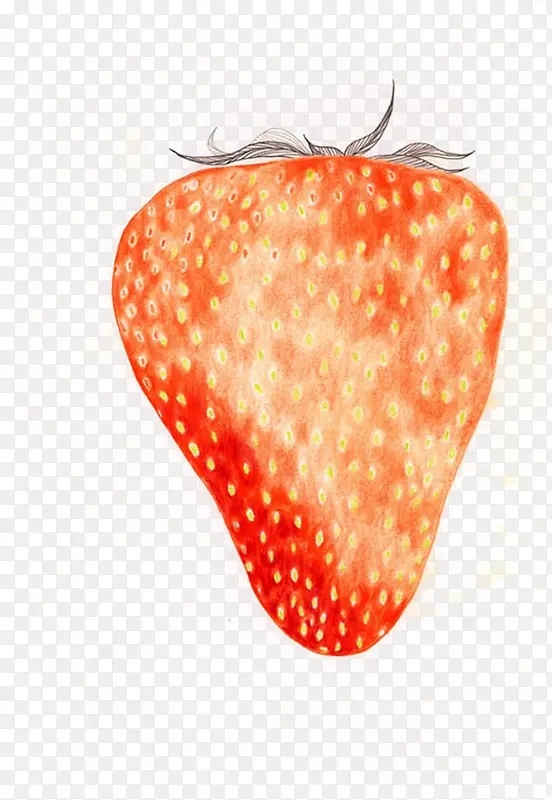 ��ͨ�ֻ��ݮ-������