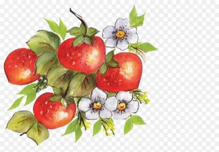 �ֻ��ݮ-������