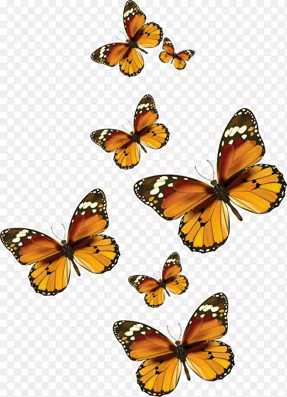 �����������������-����-������