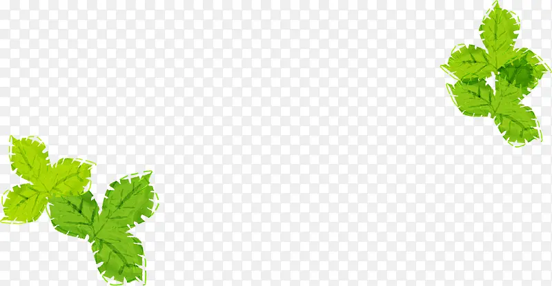 �ֻ��ݮҶ��ʱ�к���-������