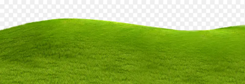 �ݵ�-������