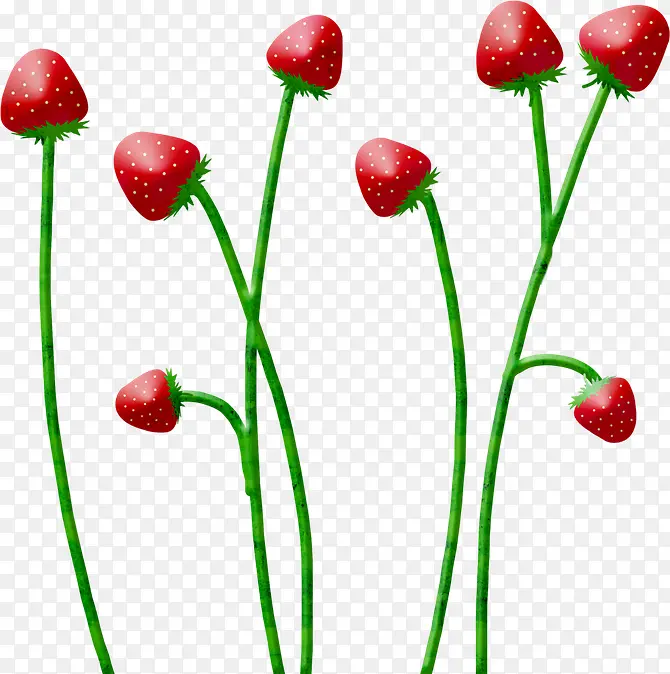 �ɰ���ɫ��ͨ��ݮ-������