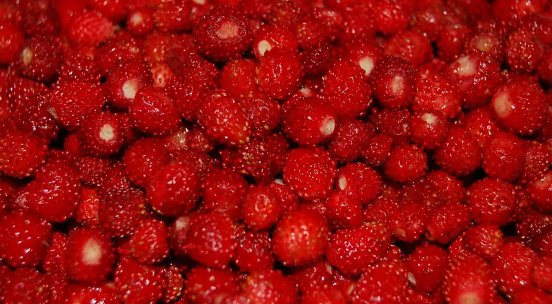 �����ɫС��ݮˮ��-������