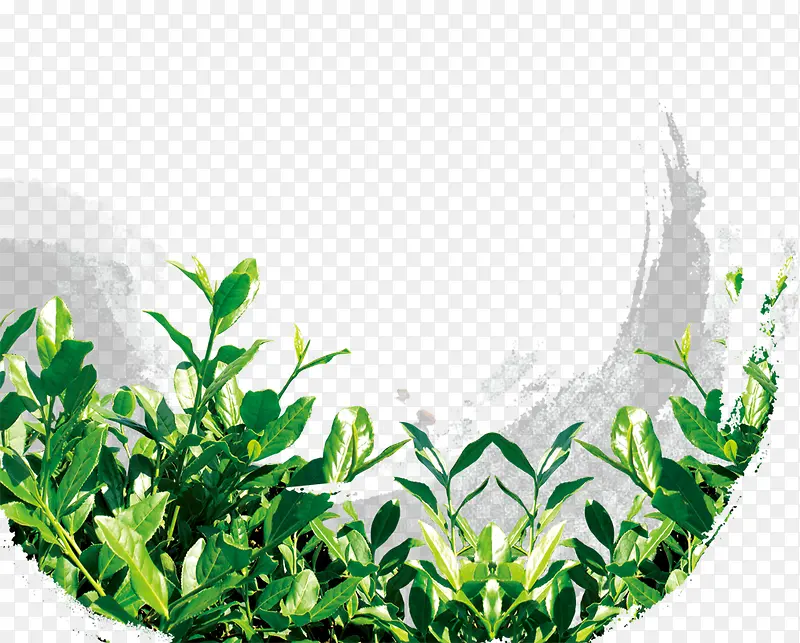 �̲�-������