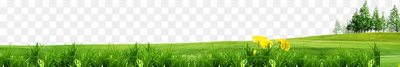 �ݵ�-������