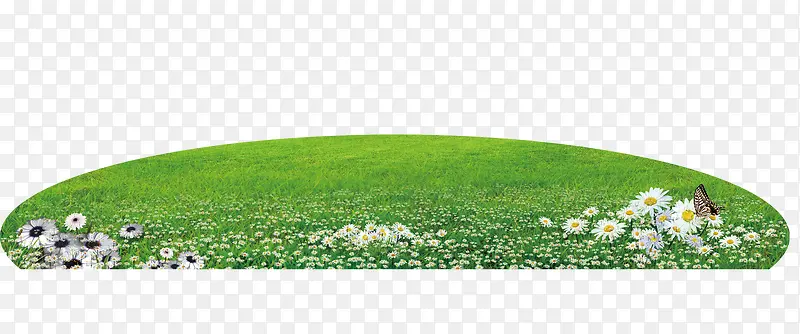 �ݵز�-������