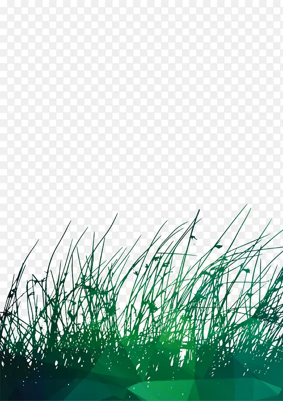 �ݵ�-������