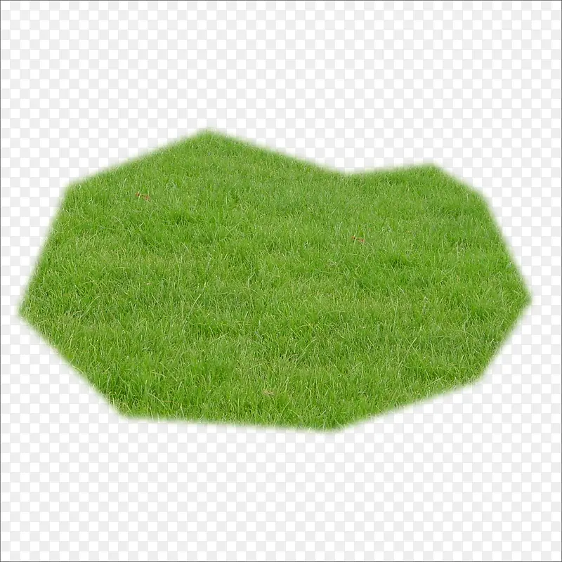 �ݵ��ز�-������