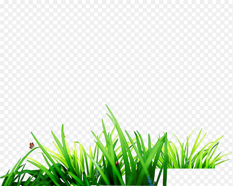 ���-������