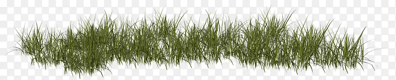 �̲�-������