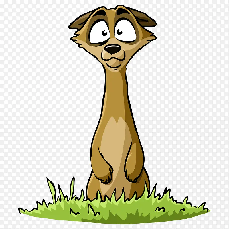 ʸ����ͨ����-������