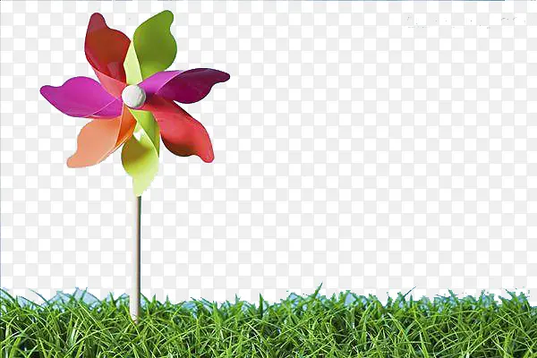 �ݵز�ɫ�糵-������