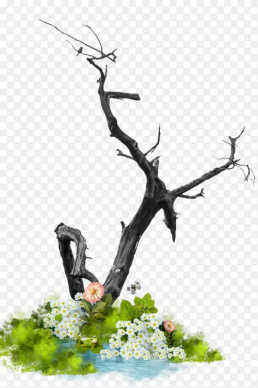 ��֦-������