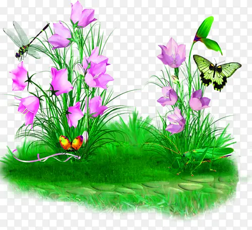 �廭-������