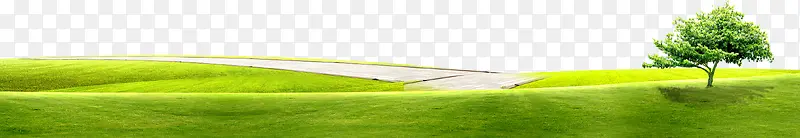 ������Ӱ��ɫ�ݵ�-������