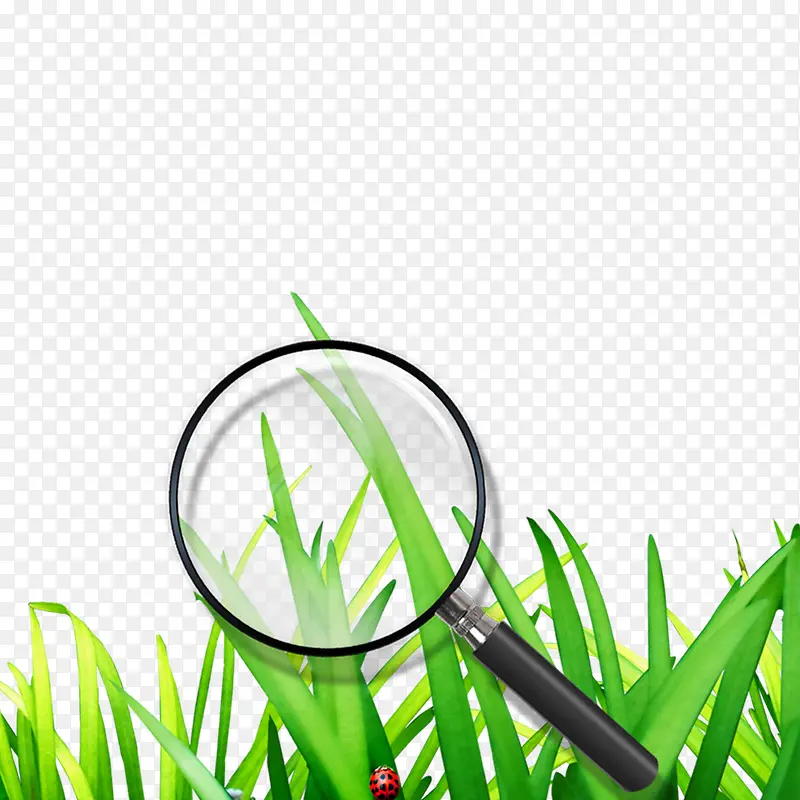 ��ͨ�ݵ�-������