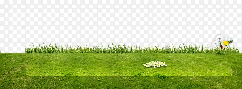 дʵ�ݵ�-������