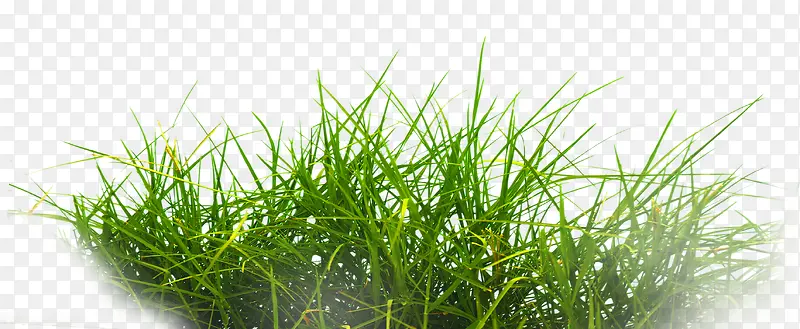 ��-������