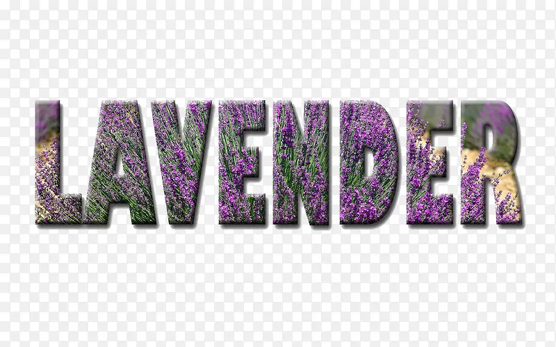 ޹�²�Ӣ����-������