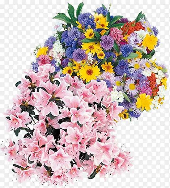 ��ɫ�����������-������