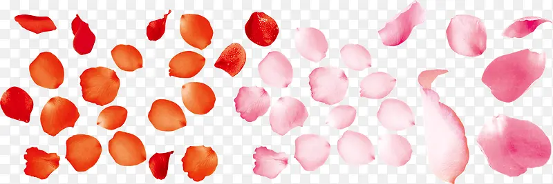 �������-������