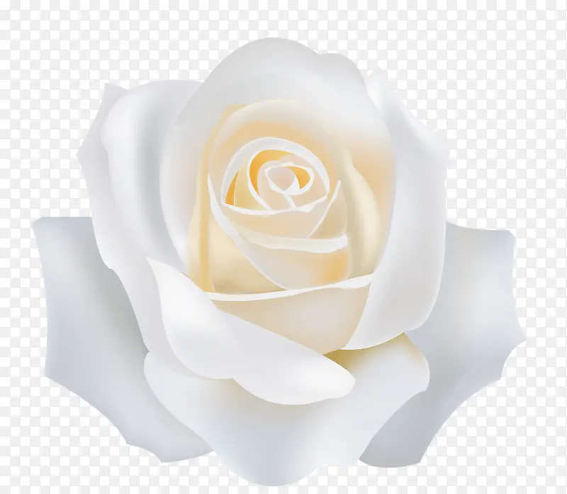 ��ɫõ��-������