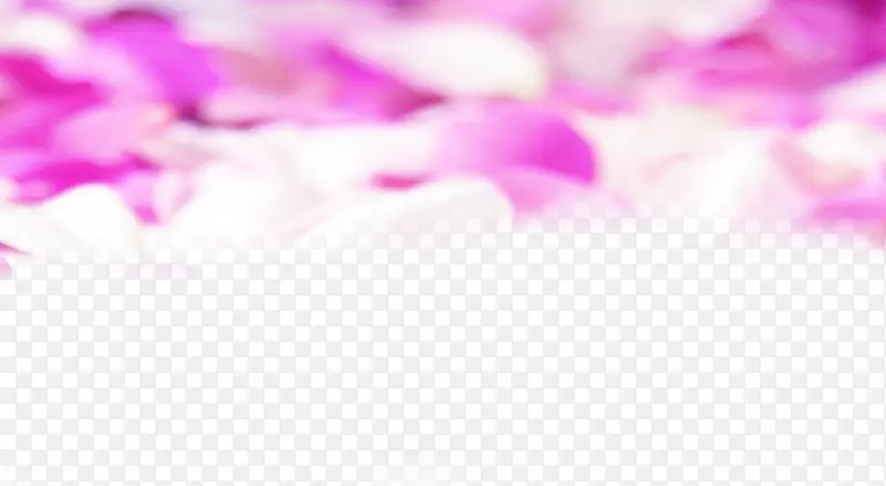 ��ɫõ��õ�廨��-������