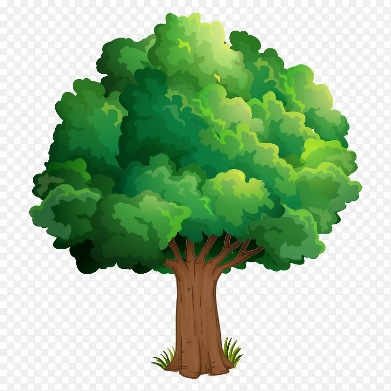 �� ��ľ-������