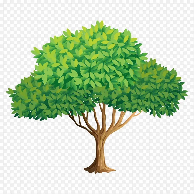 �� ��ľ-������