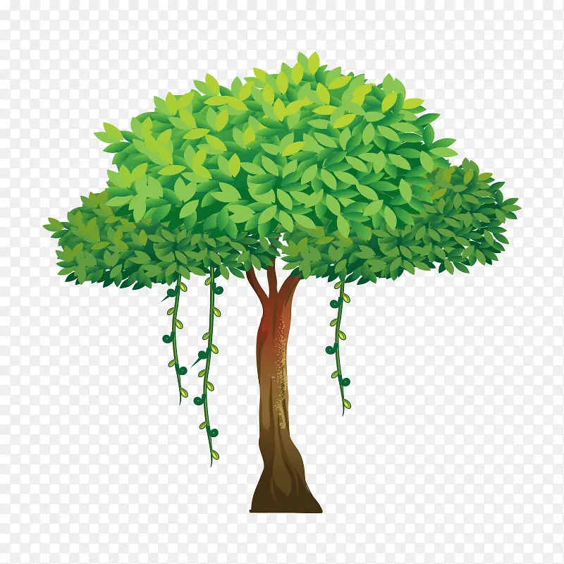 �� ��ľ-������