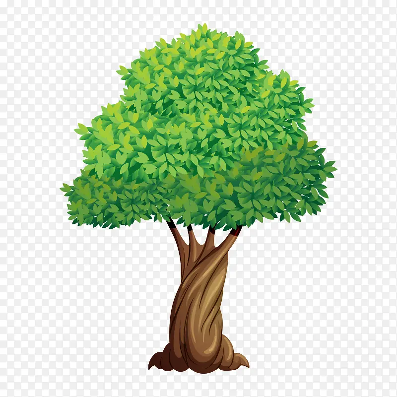 �� ��ľ-������