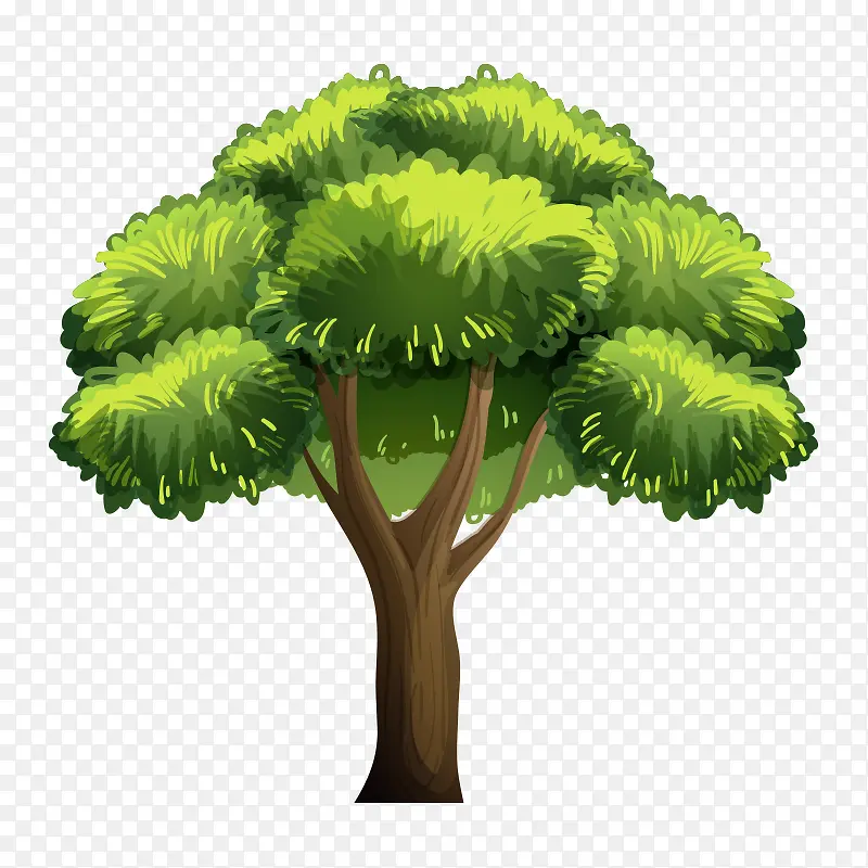 �� ��ľ-������