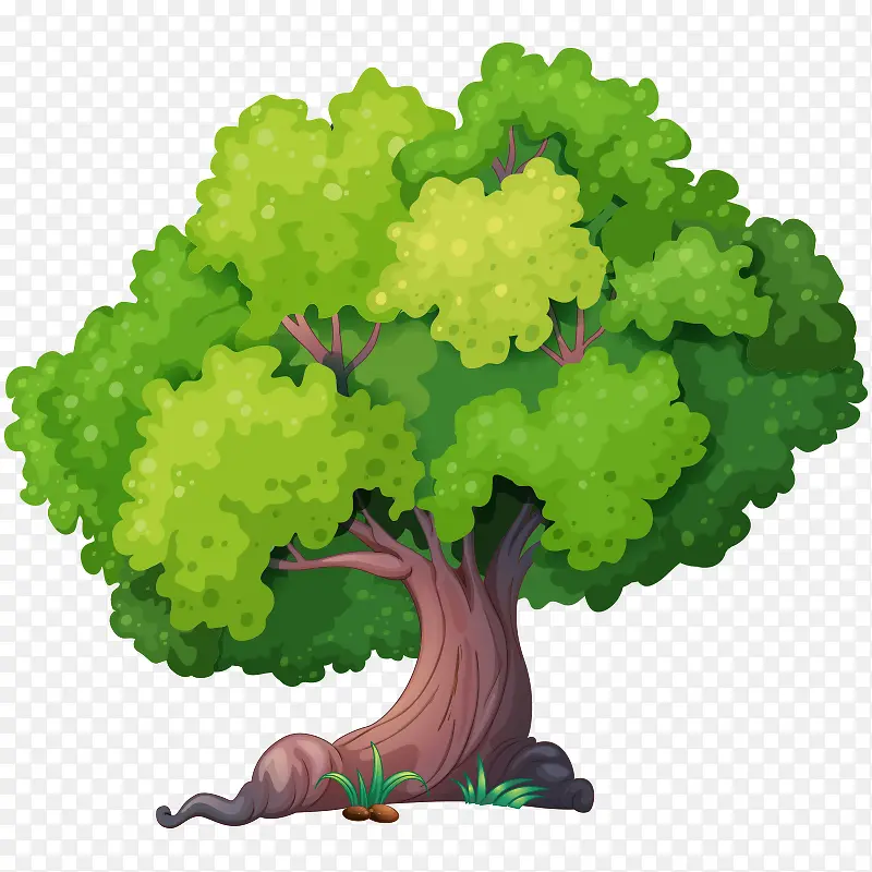 �� ��ľ-������