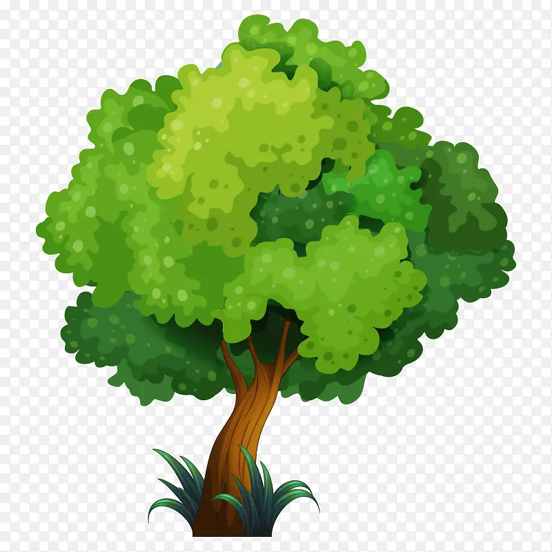 �� ��ľ-������