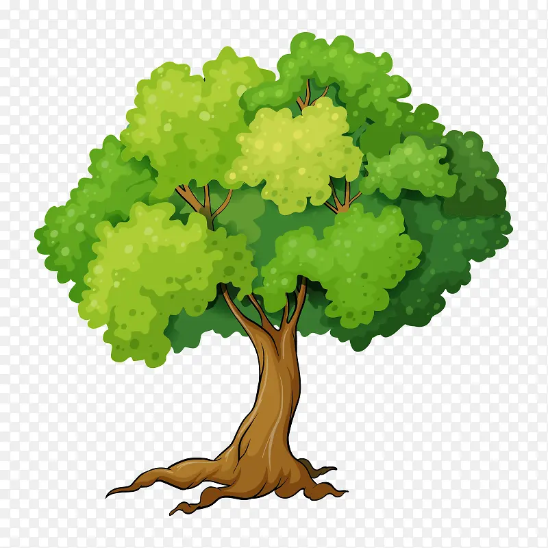 �� ��ľ-������