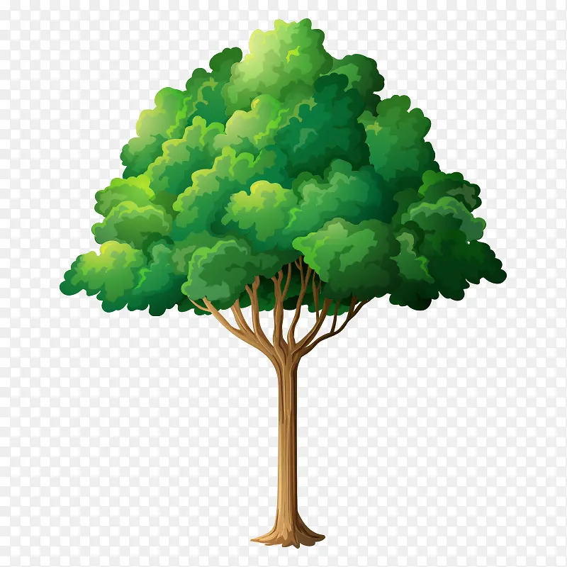 �� ��ľ-������